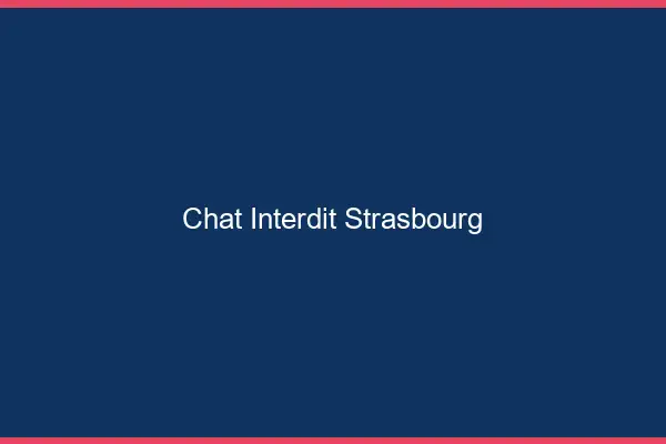 Chat Interdit Strasbourg