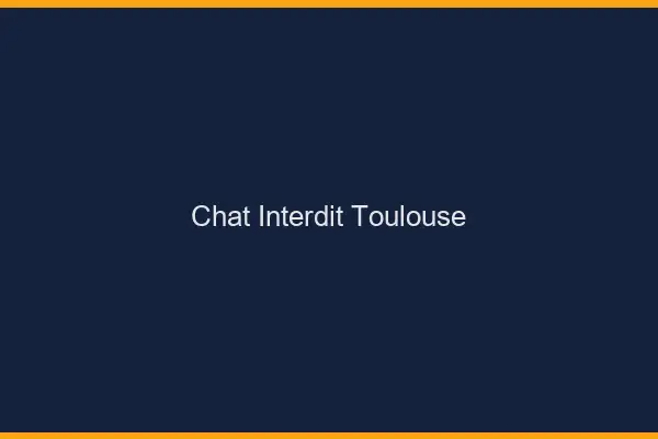 Chat Interdit Toulouse