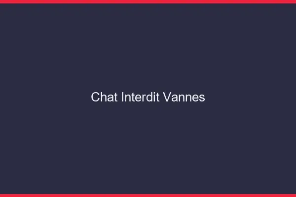 Chat Interdit Vannes