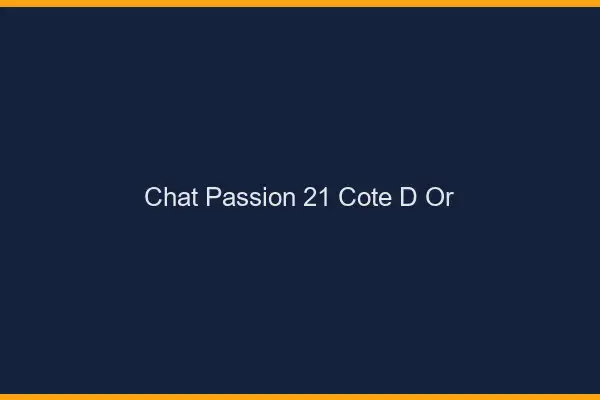 Chat Passion Cote D Or
