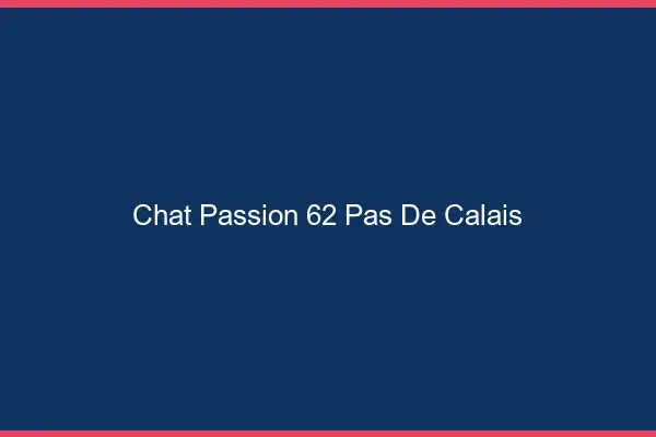 Chat Passion Pas De Calais