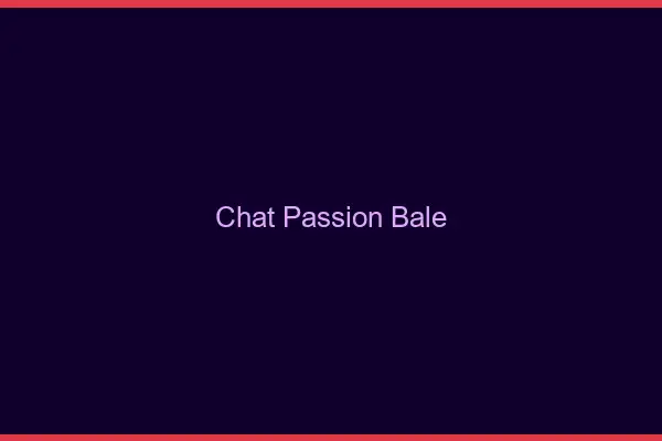 Chat Passion Bâle