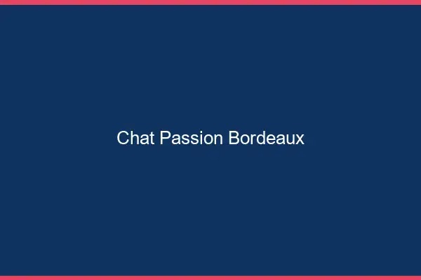 Chat Passion Bordeaux