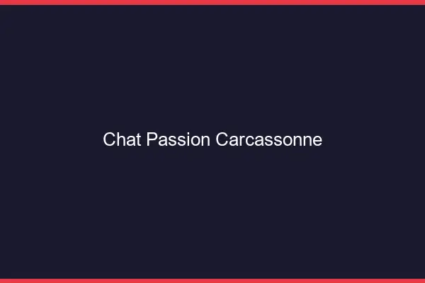 Chat Passion Carcassonne