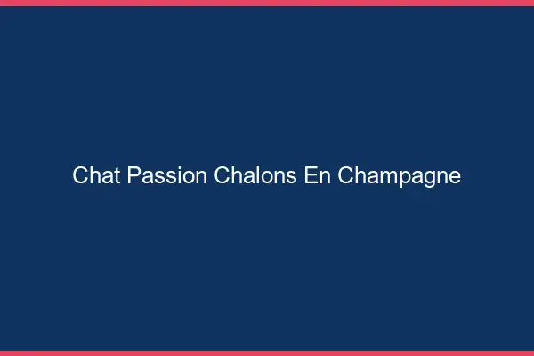 Chat Passion Châlons-en-Champagne