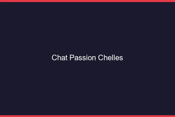 Chat Passion Chelles