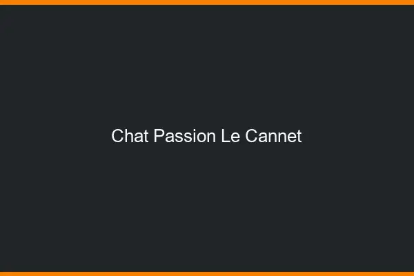 Chat Passion Le Cannet