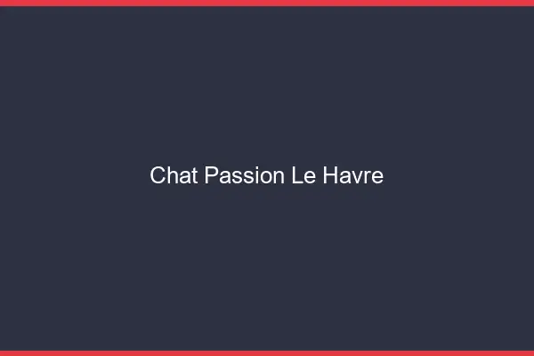 Chat Passion Le Havre