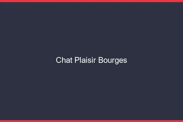 Chat Plaisir Bourges