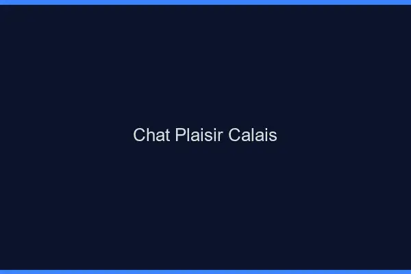 Chat Plaisir Calais