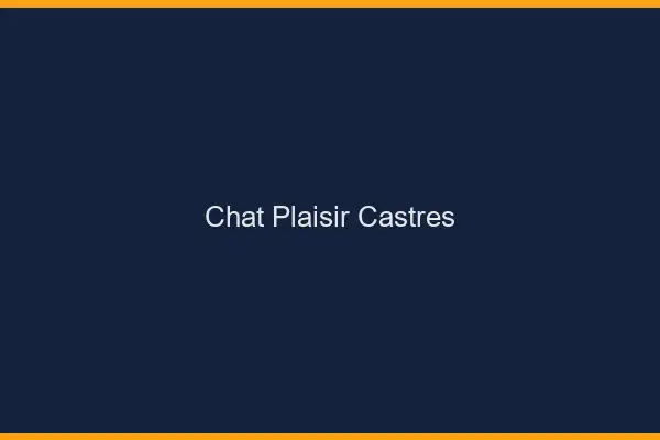 Chat Plaisir Castres