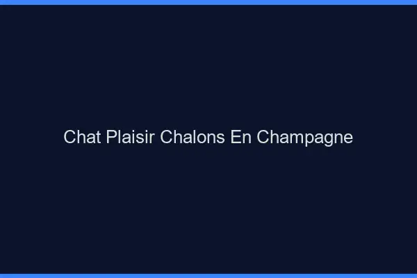 Chat Plaisir Châlons-en-Champagne