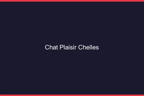 Chat Plaisir Chelles