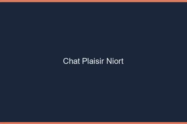 Chat Plaisir Niort