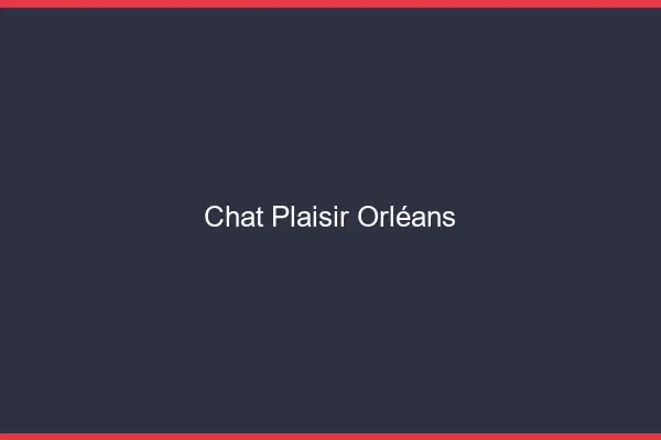 Chat Plaisir Orléans