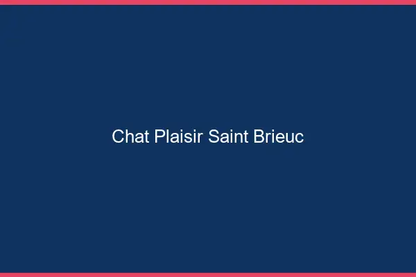 Chat Plaisir Saint-Brieuc