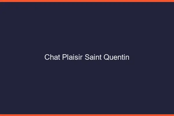 Chat Plaisir Saint-Quentin