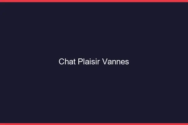 Chat Plaisir Vannes