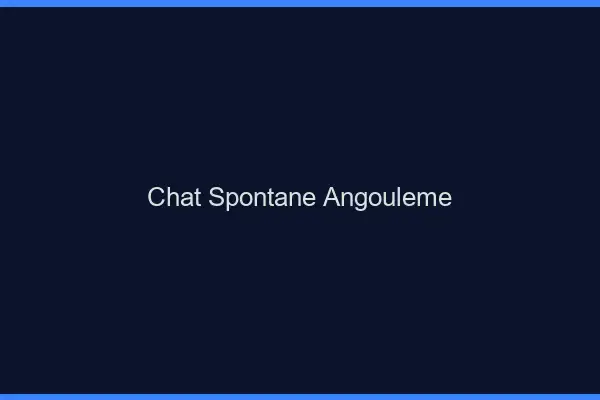 Chat Spontané Angoulême