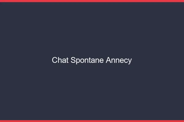Chat Spontané Annecy