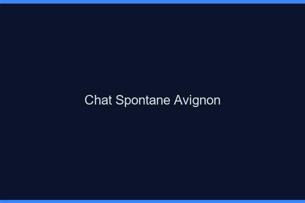 Chat Spontané Avignon