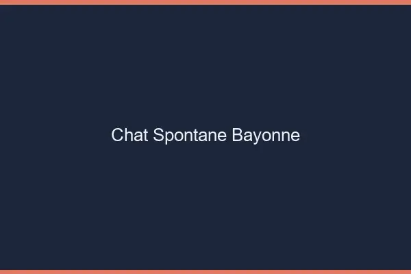 Chat Spontané Bayonne