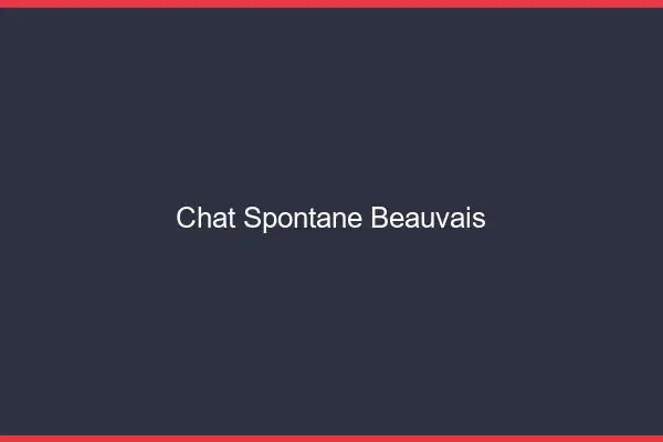 Chat Spontané Beauvais