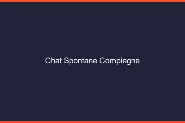 Chat Spontané Compiègne