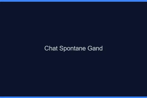 Chat Spontané Gand