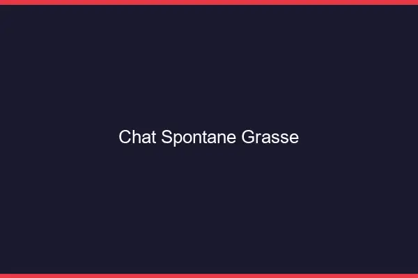 Chat Spontané Grasse