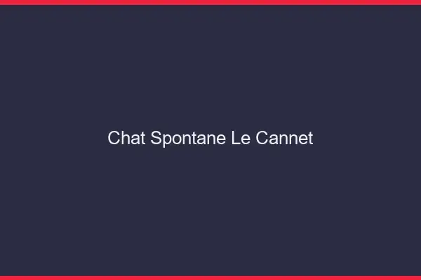 Chat Spontané Le Cannet