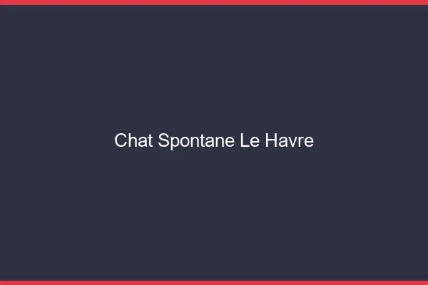Chat Spontané Le Havre