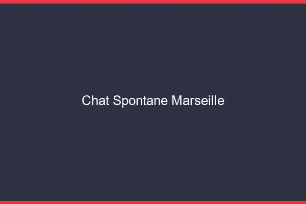 Chat Spontané Marseille