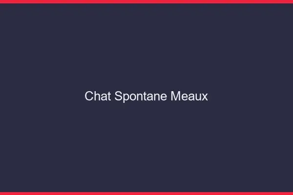 Chat Spontané Meaux