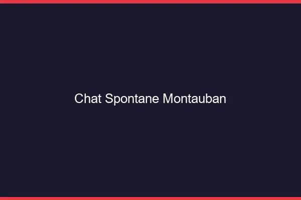 Chat Spontané Montauban