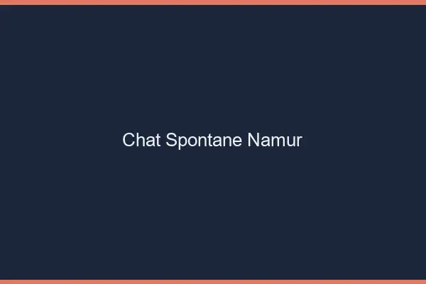 Chat Spontané Namur