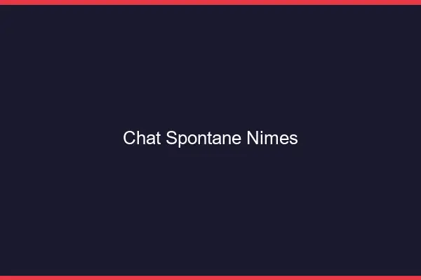 Chat Spontané Nîmes
