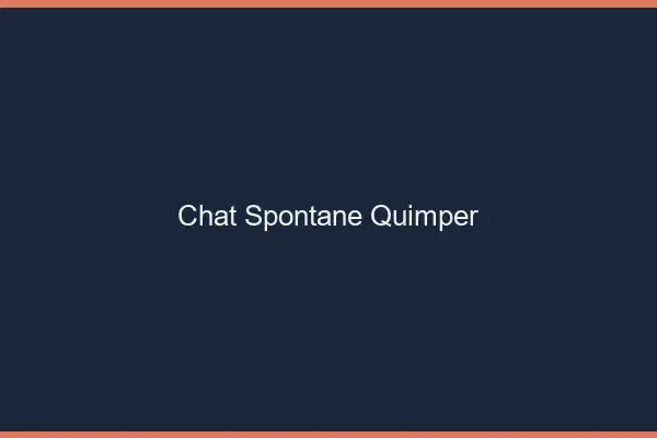 Chat Spontané Quimper