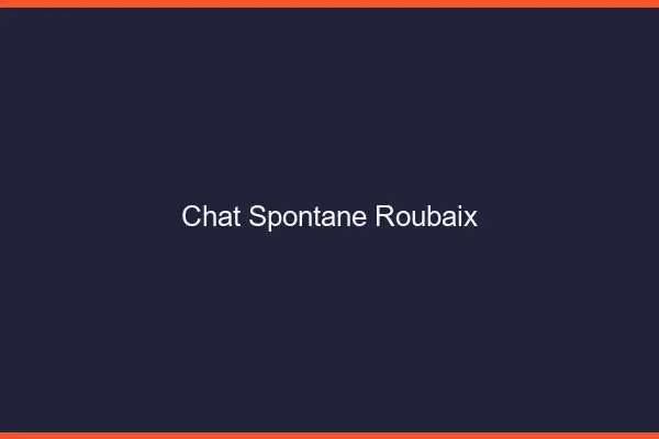 Chat Spontané Roubaix