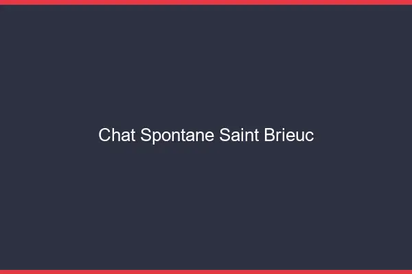 Chat Spontané Saint-Brieuc