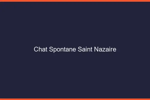 Chat Spontané Saint-Nazaire