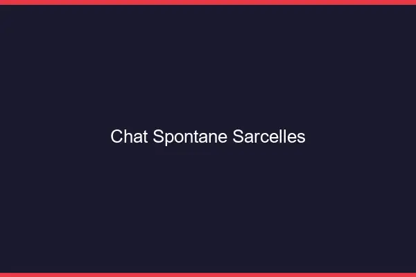 Chat Spontané Sarcelles