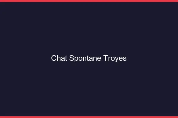 Chat Spontané Troyes