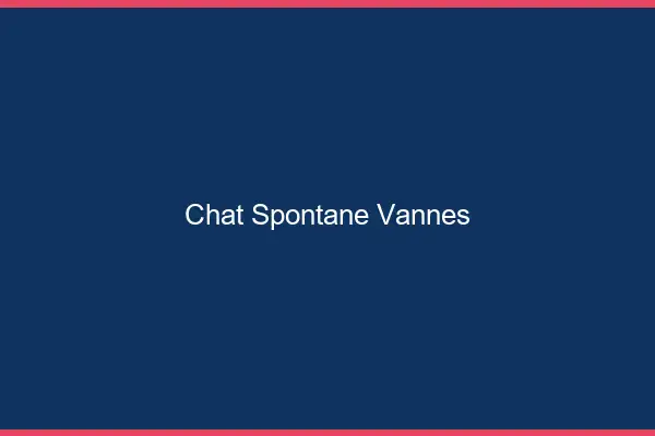 Chat Spontané Vannes