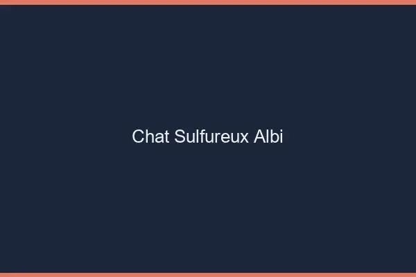 Chat Sulfureux Albi