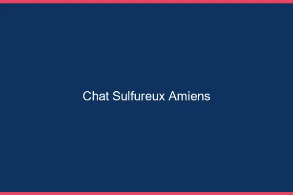 Chat Sulfureux Amiens