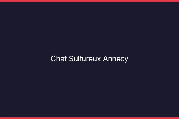 Chat Sulfureux Annecy