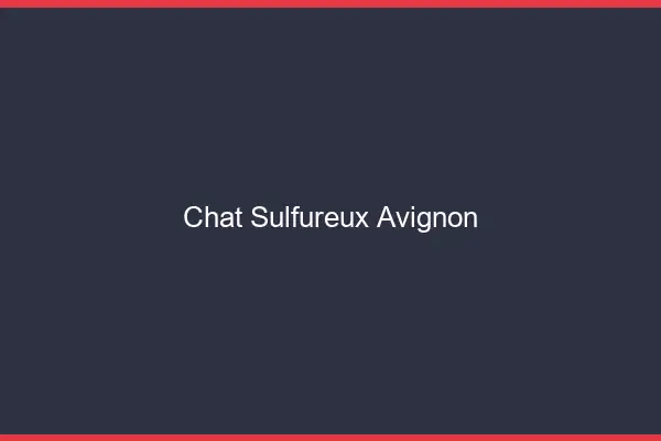 Chat Sulfureux Avignon