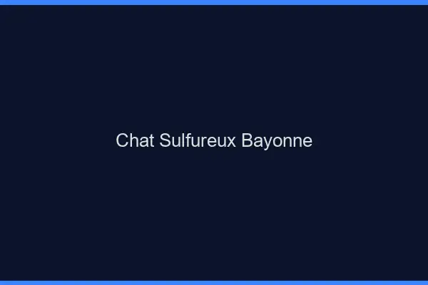 Chat Sulfureux Bayonne