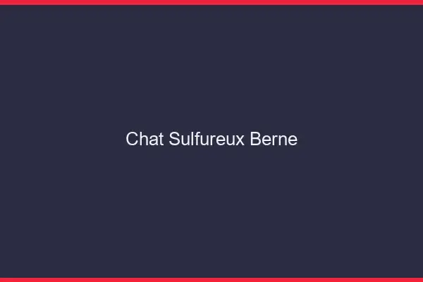 Chat Sulfureux Berne